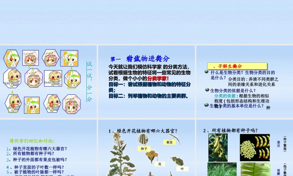 八年级生物上册 根据生物的特征分类课件 人教新课标版 课件