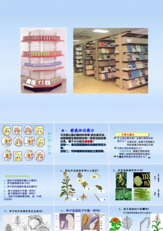 八年级生物上册 根据生物的特征分类课件 人教新课标版 课件