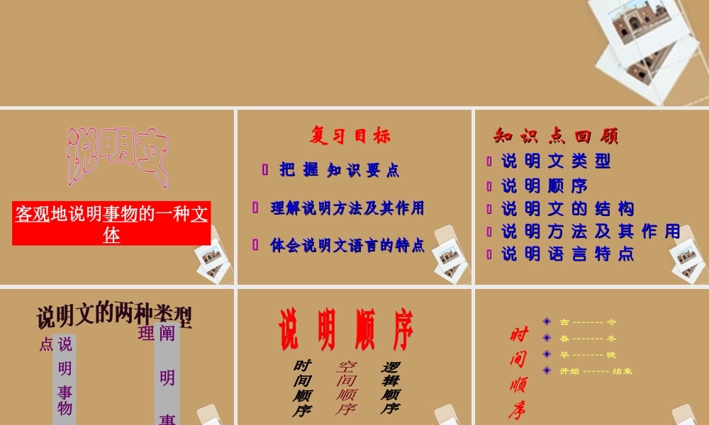 中考语文 说明文阅读专题训练课件 人教新课标版 课件