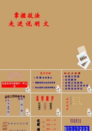 中考语文 说明文阅读专题训练课件 人教新课标版 课件