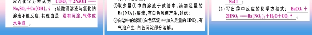 九年级化学下册 第十一单元 盐 化肥 课题1 第2课时 复分解反应 盐的化学性质习题课件 新人教版 课件