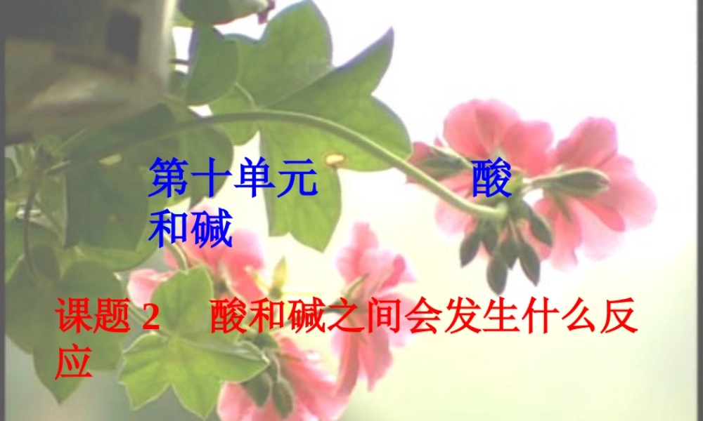 九年级化学下册 (酸和碱之间会发生什么反应)课件 人教新课标版 课件