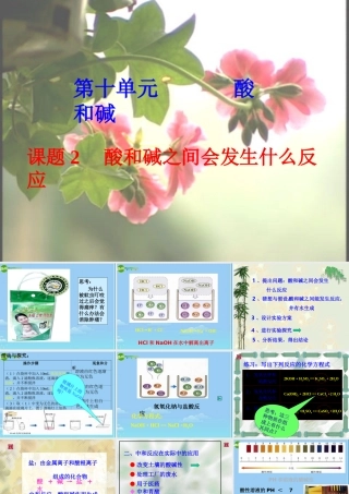 九年级化学下册 (酸和碱之间会发生什么反应)课件 人教新课标版 课件