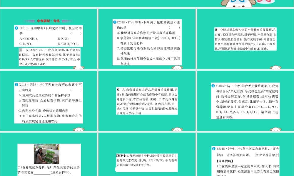 九年级化学下册 第十一单元 盐 化肥 112 化学肥料训练课件 (新版)新人教版 课件