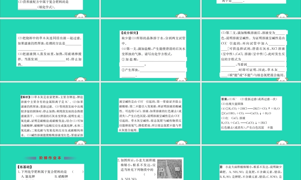 九年级化学下册 第十一单元 盐 化肥 112 化学肥料训练课件 (新版)新人教版 课件