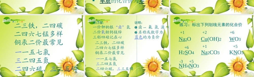 九年级化学上册44化学式与化合价课件2人教新课标版 九年级化学上册4.4化学式与化合价课件(两套1-2)人教新课标版