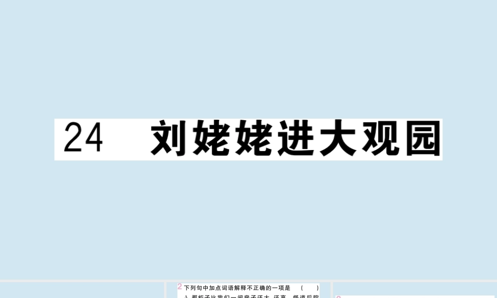(黄冈专版)九年级语文上册 第六单元 24 刘姥姥进大观园作业课件 新人教版 课件