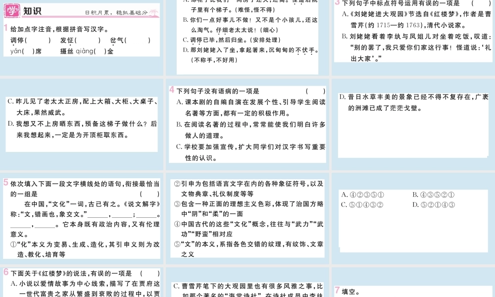 (黄冈专版)九年级语文上册 第六单元 24 刘姥姥进大观园作业课件 新人教版 课件