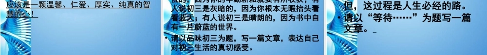 中考语文专题复习 让满分告诉你--注意事项选课件