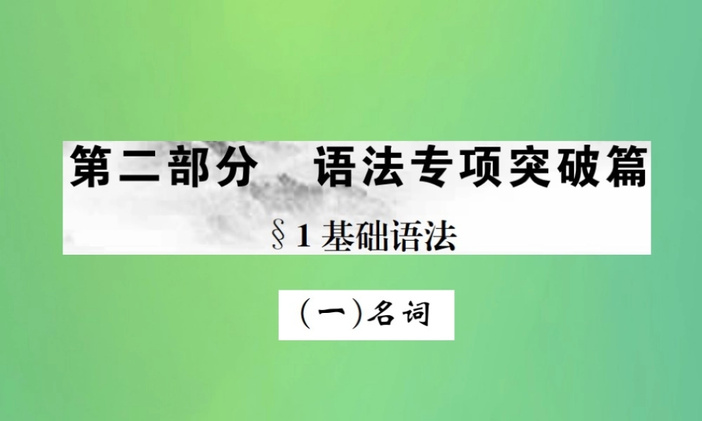 中考英语复习 第二部分 语法专项突破篇 基础语法(一)名词课件