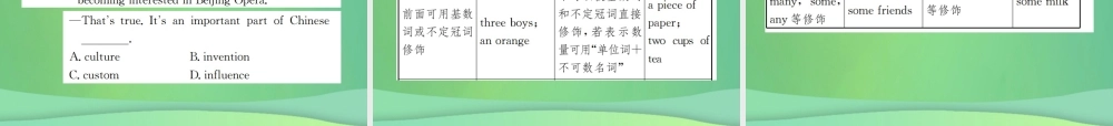 中考英语复习 第二部分 语法专项突破篇 基础语法(一)名词课件
