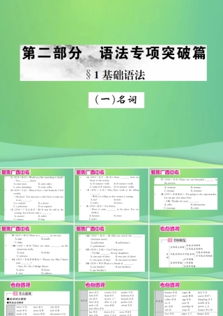 中考英语复习 第二部分 语法专项突破篇 基础语法(一)名词课件