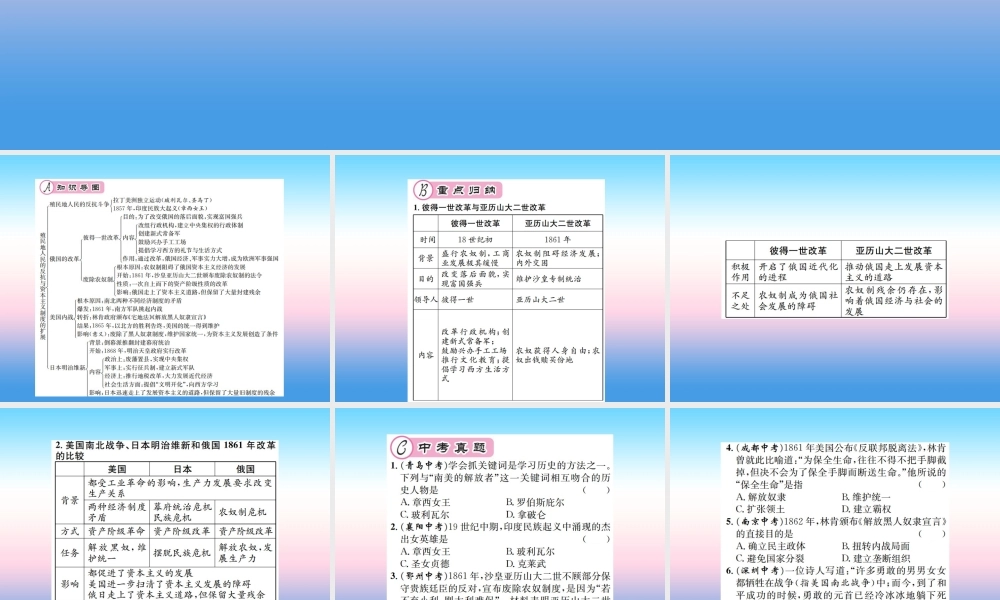 九年级历史下册 第1单元 殖民地人民的反抗与资本主义制度的扩展核心素养整合提升作业课件 新人教版 课件