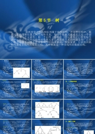 第2章  第5节  树