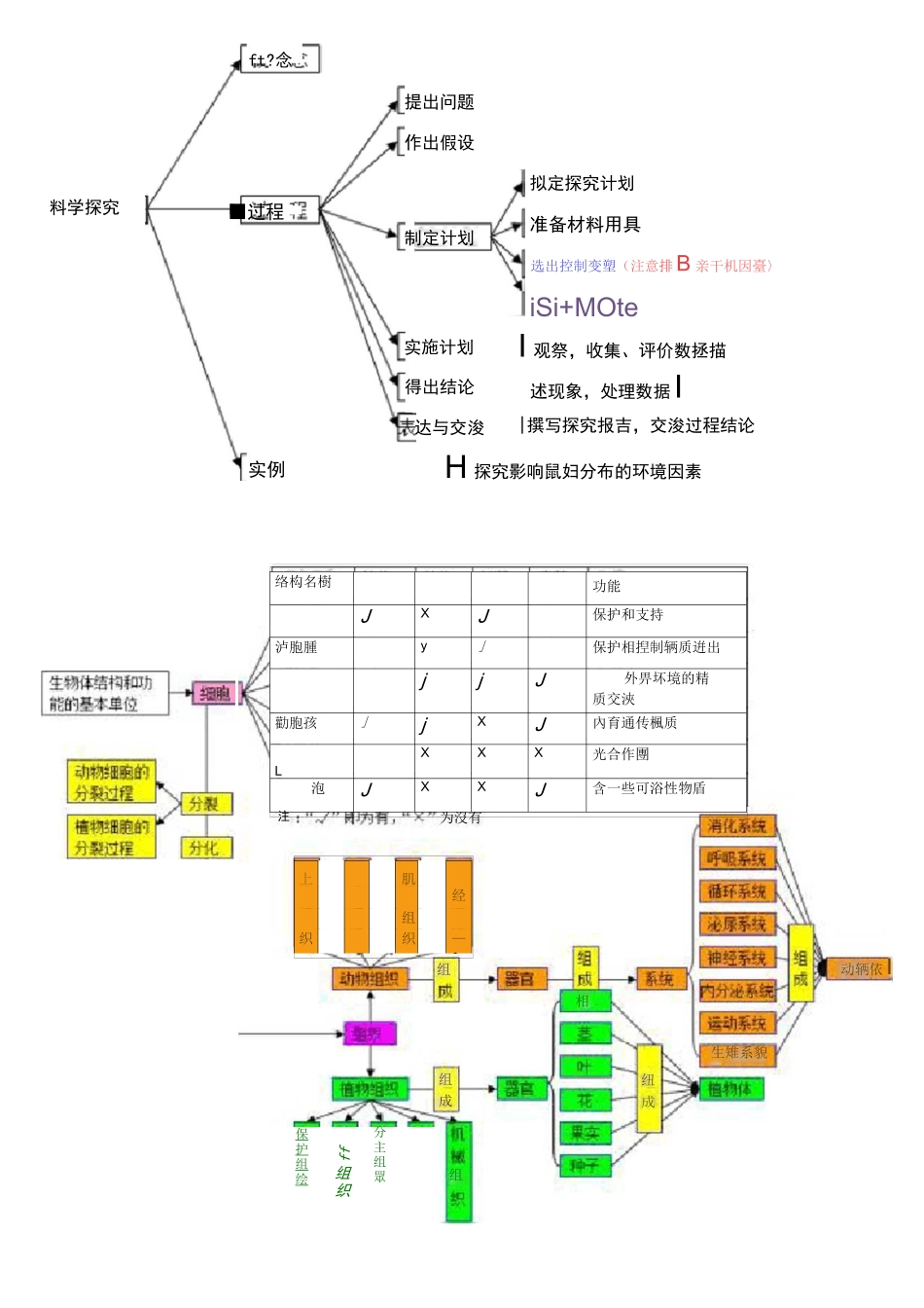 初中生物知识框架_第1页