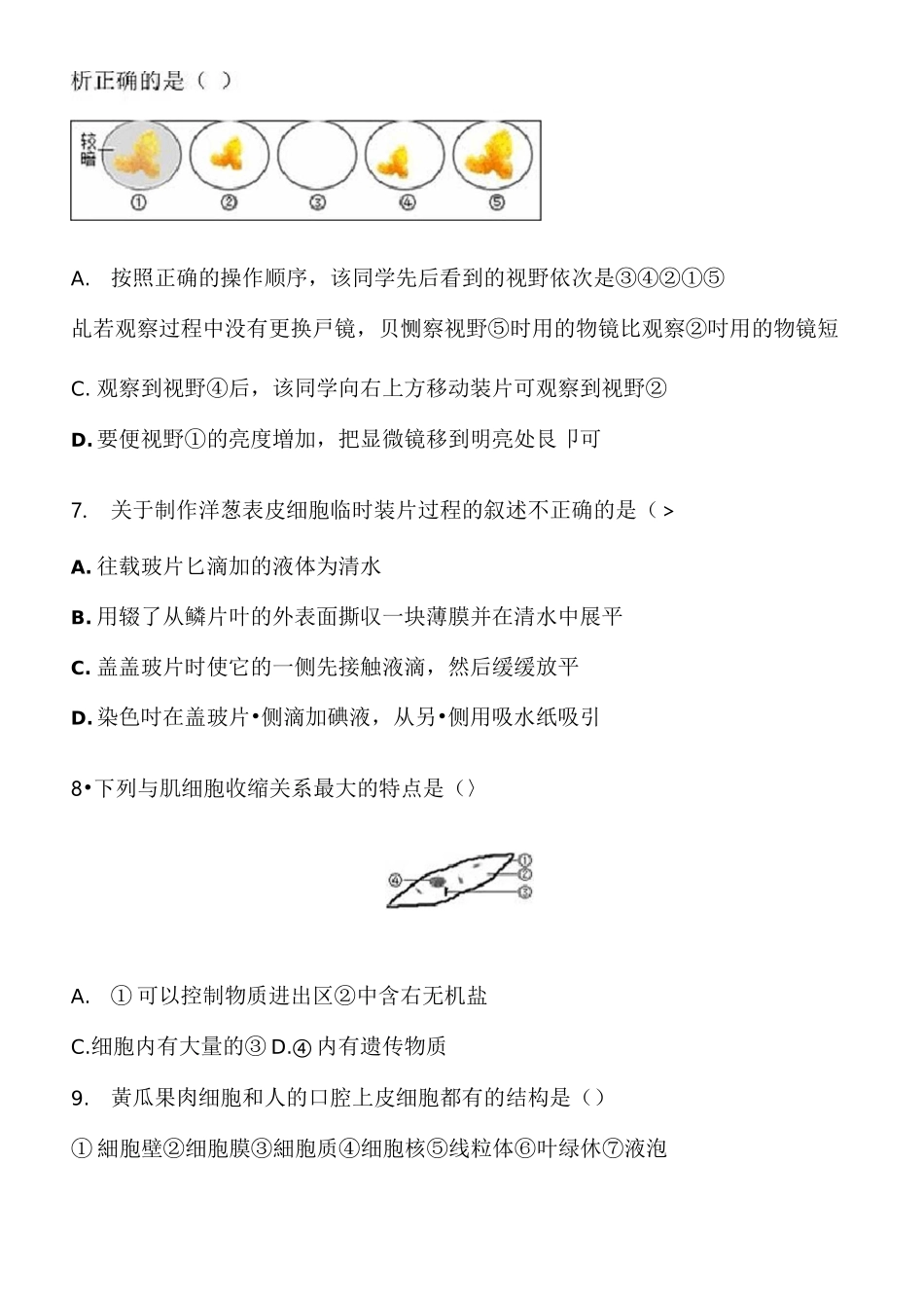 初中生物易错题附答案_第2页