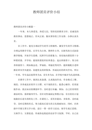 自我评价 教师团员评价小结