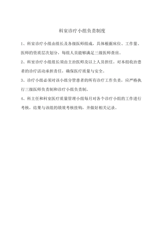科室诊疗小组工作负责制度方案