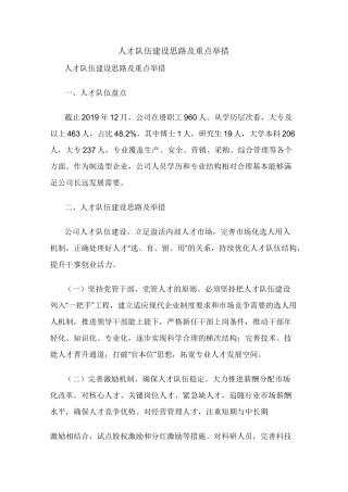 人才队伍建设思路及重点举措