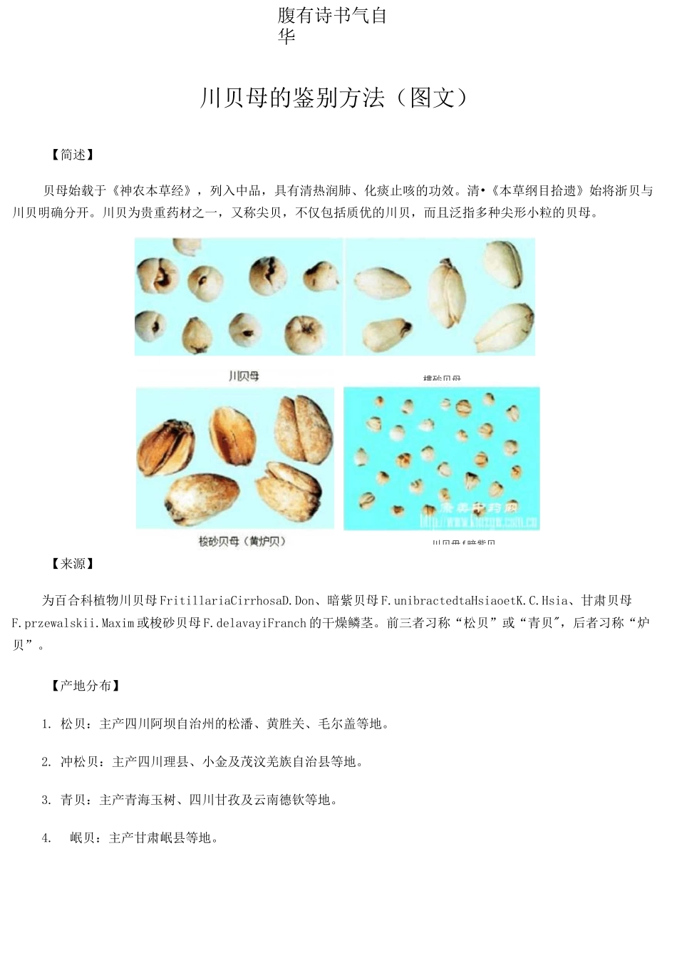 川贝母的鉴别方法(图文)_第1页
