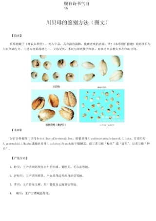 川贝母的鉴别方法(图文)