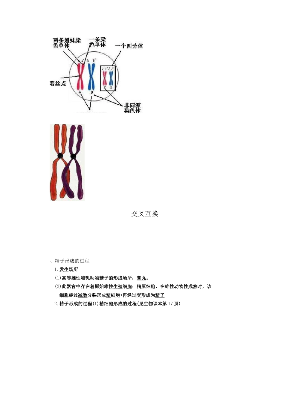 减数分裂学案(含答案)_第2页