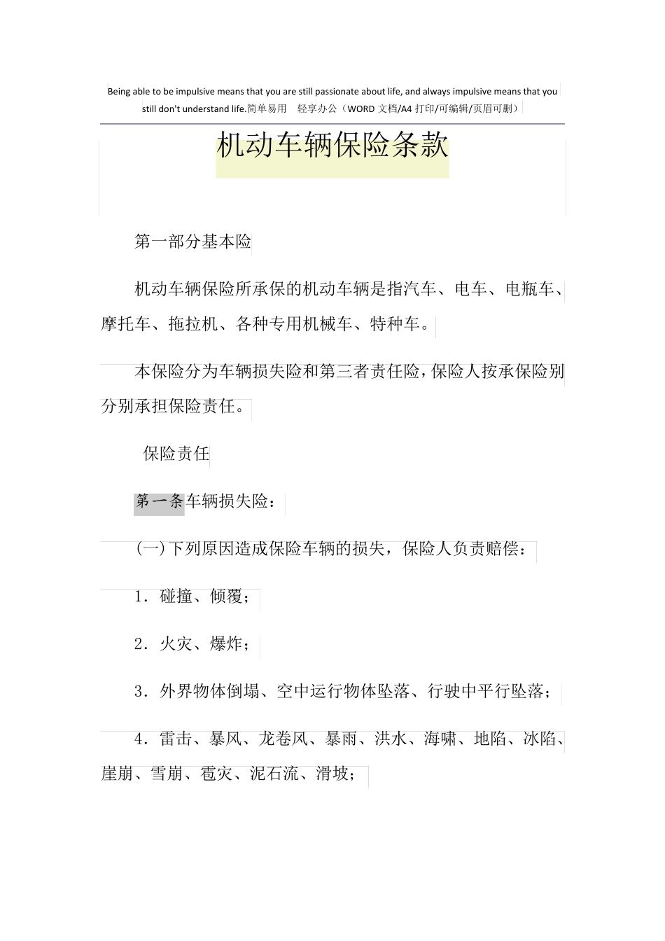 2021年机动车辆保险条款_第1页