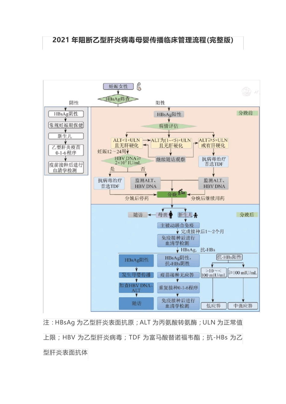 2021年阻断乙型肝炎病毒母婴传播临床管理流程(完整版)_第1页