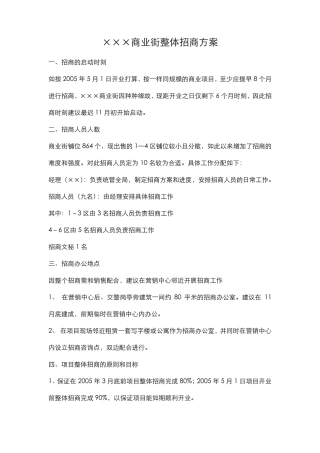 ×××商业街整体招商方案