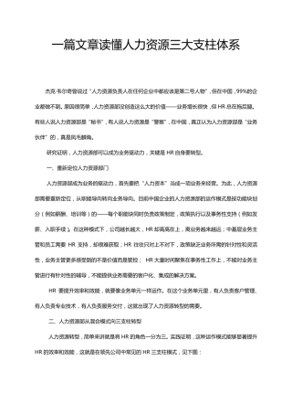 三支柱详解、模式及HRBP胜任力模型3套(23页)