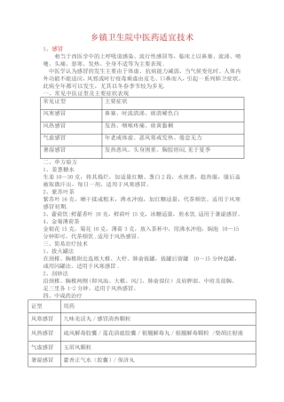 乡镇卫生院中医药适宜技术