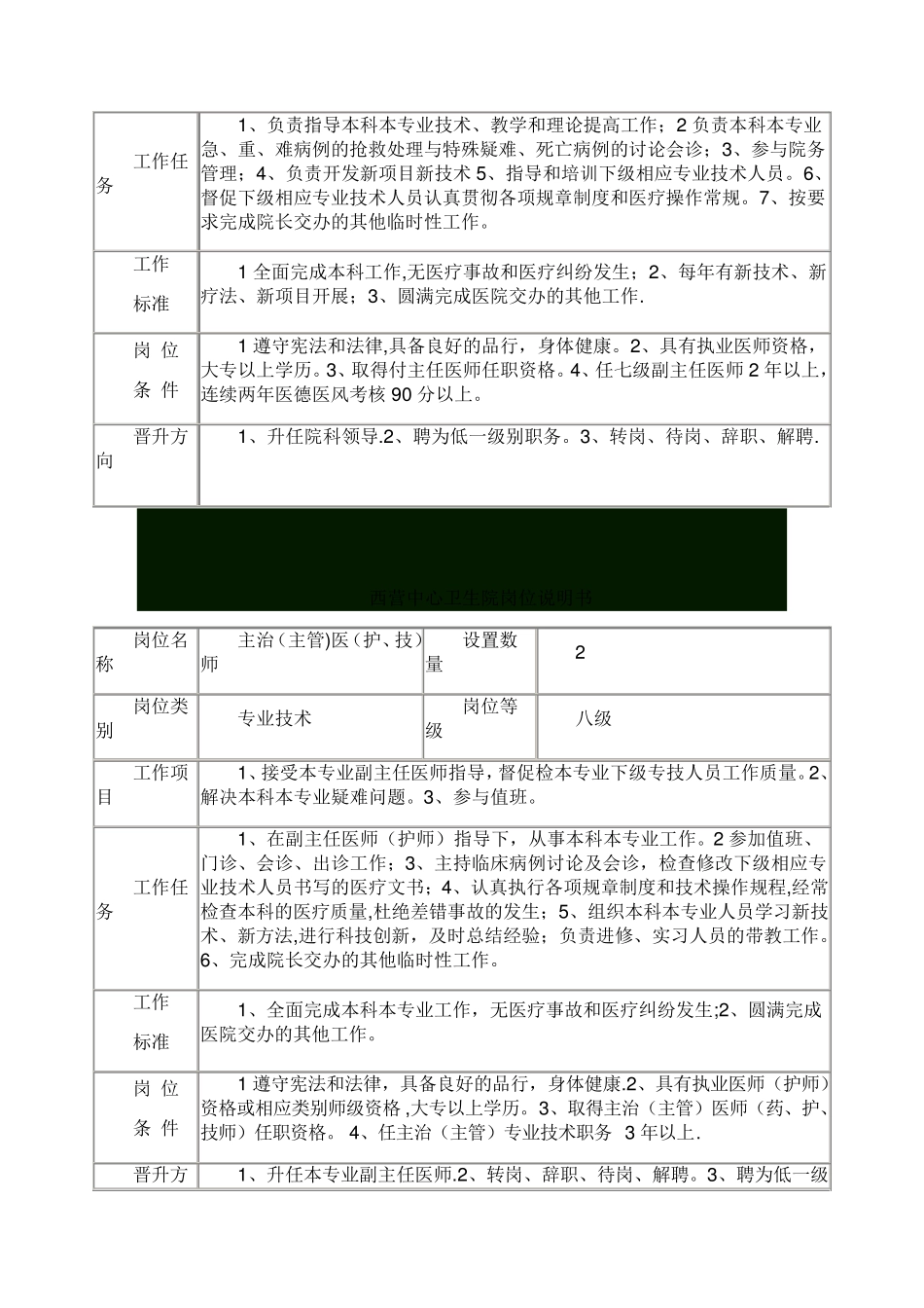 乡镇卫生院岗位说明书_第2页