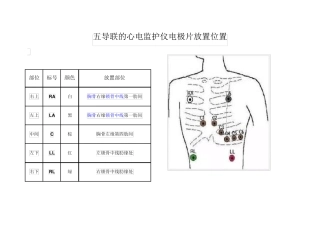 五导联的心电监护仪电极片放置位置