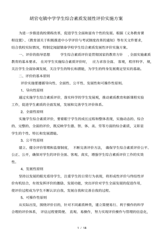 学生综合素质发展性评价实施计划方案
