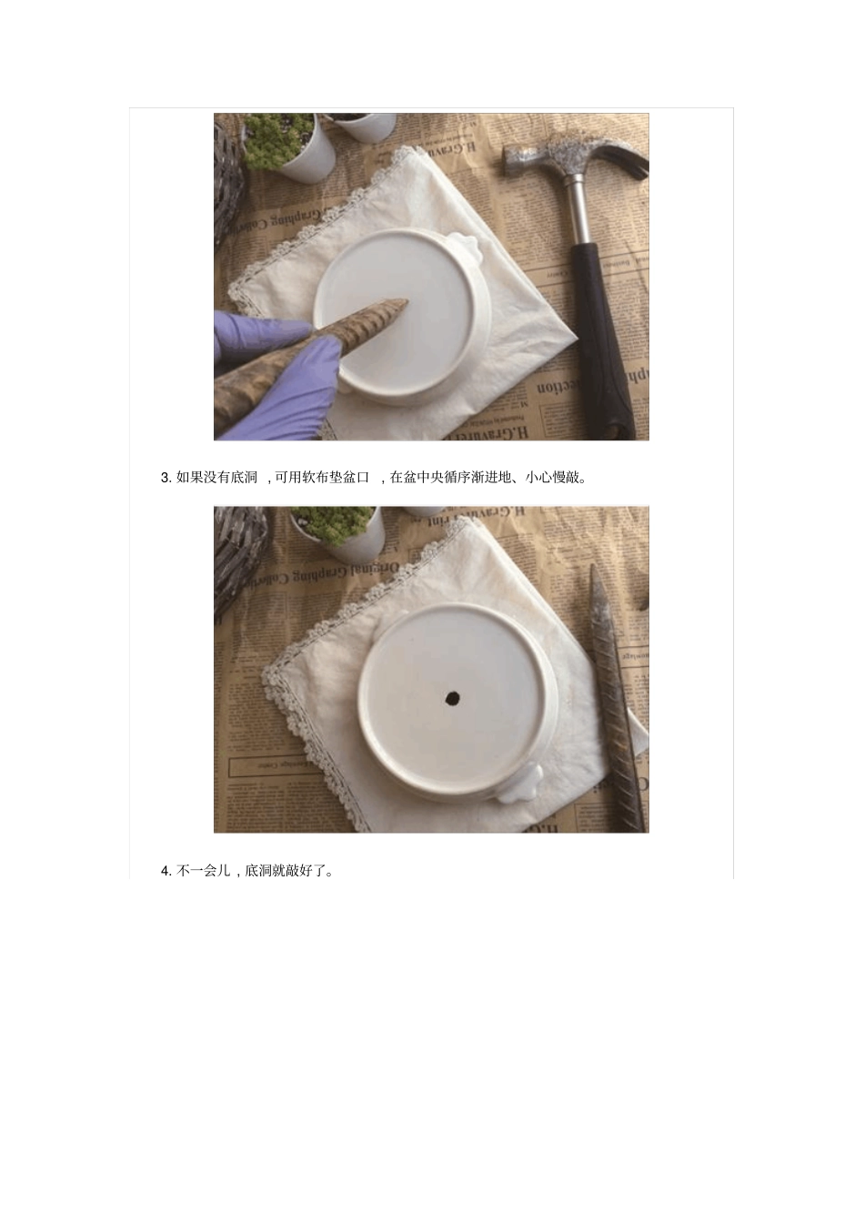 学种肉肉多肉上盆步骤汇总_第2页