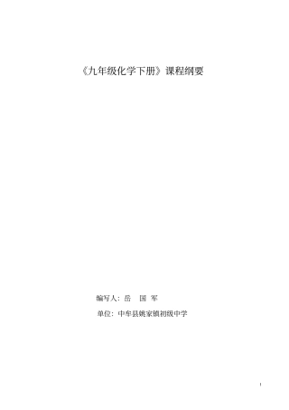 完整九年级化学下册课程纲要