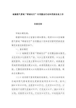 城镇燃气管道“带病运行”专项整治行动和更新改造工作自查总结