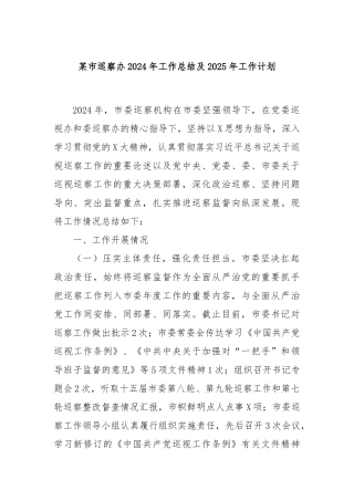 某市巡察办2024年工作总结及2025年工作计划