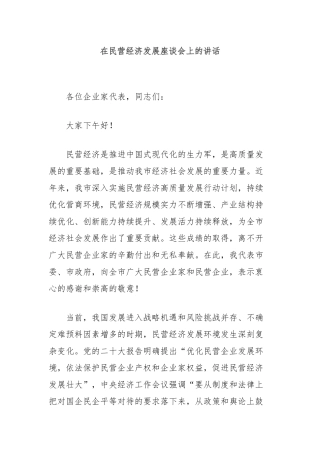 在民营经济发展座谈会上的讲话