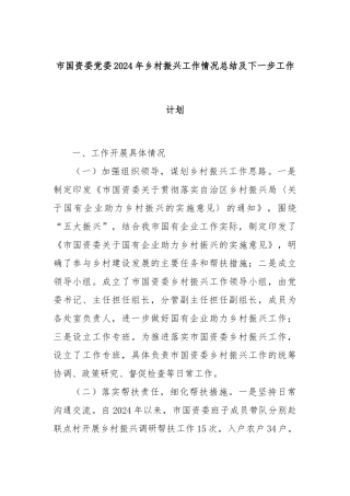 市国资委党委2024年乡村振兴工作情况总结及下一步工作计划