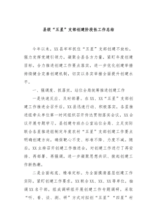 县级“五星”支部创建阶段性工作总结