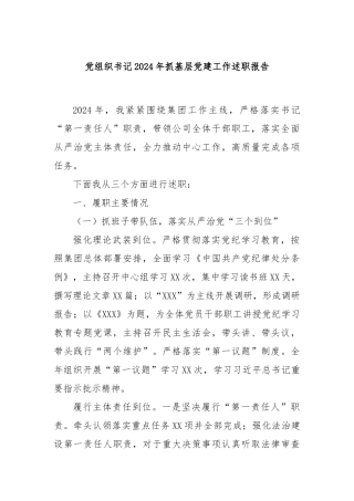 党组织书记2024年抓基层党建工作述职报告