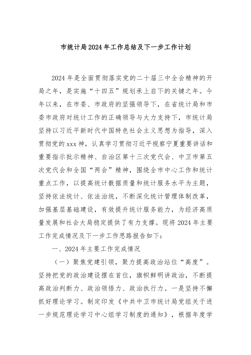 市统计局2024年工作总结及下一步工作计划_第1页