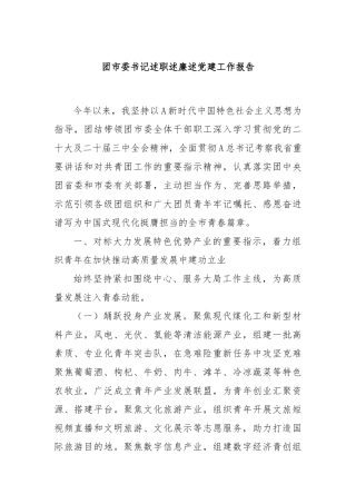 团市委书记述职述廉述党建工作报告