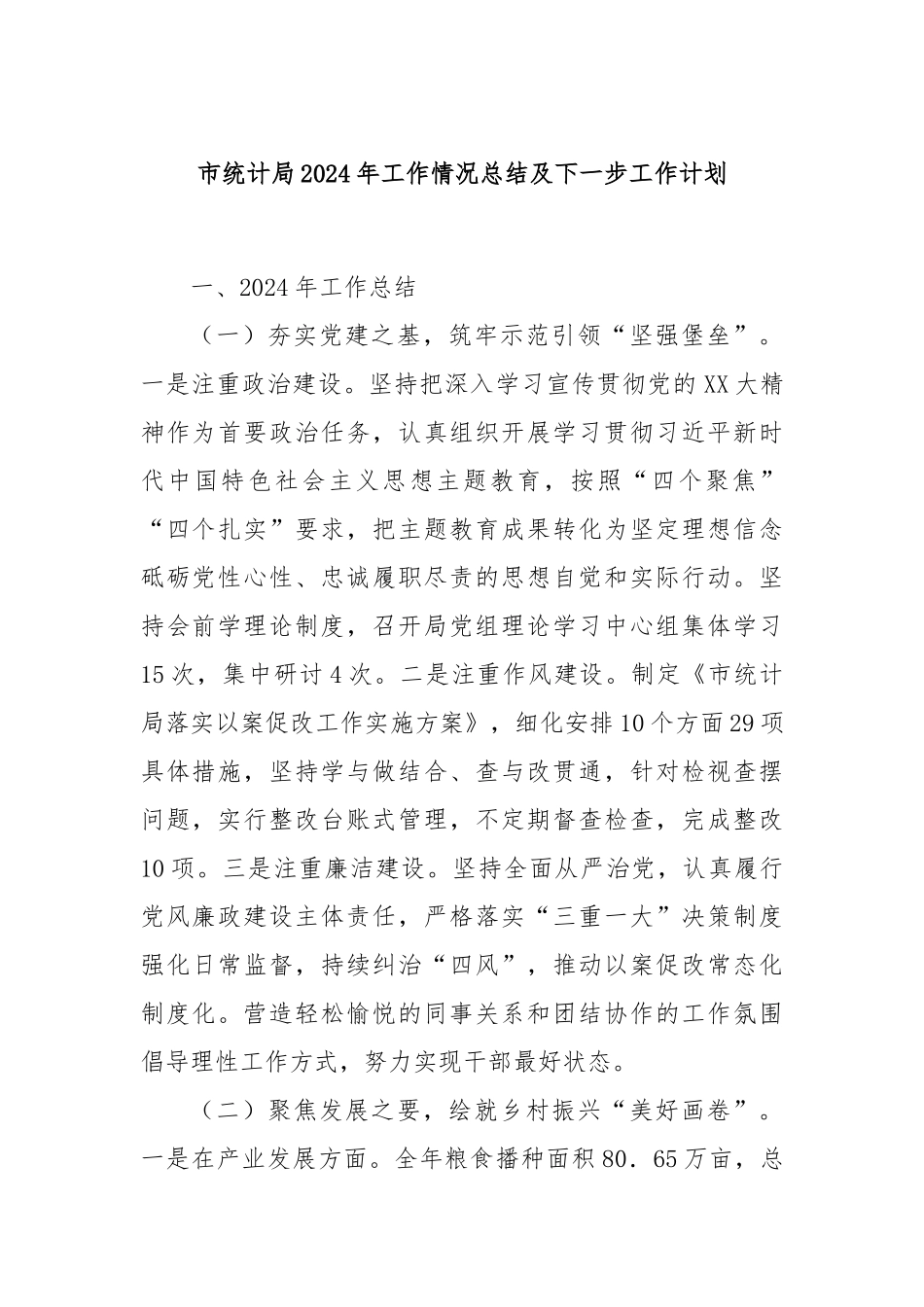 市统计局2024年工作情况总结及下一步工作计划_第1页