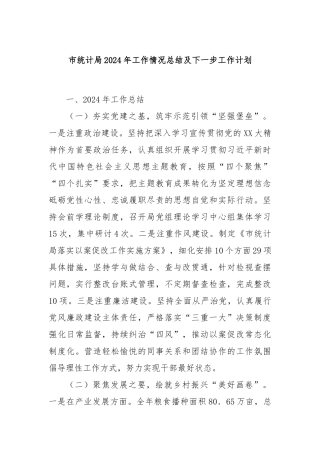 市统计局2024年工作情况总结及下一步工作计划