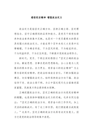 感悟延安精神 增强政治定力