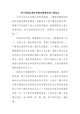 学习贯彻在湖北考察时重要讲话心得体会