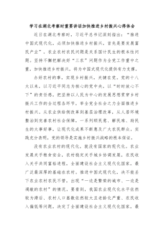 学习在湖北考察时重要讲话加快推进乡村振兴心得体会