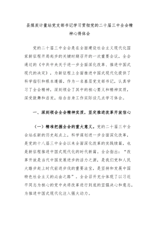 县煤炭计量站党支部书记学习贯彻党的二十届三中全会精神心得体会